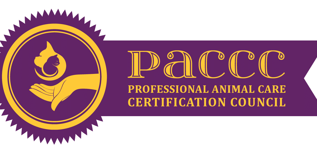 Everything Dog Owners Should Know About the Professional Animal Care Certification Council (PACCC)