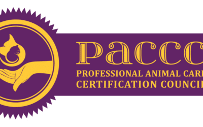 Everything Dog Owners Should Know About the Professional Animal Care Certification Council (PACCC)