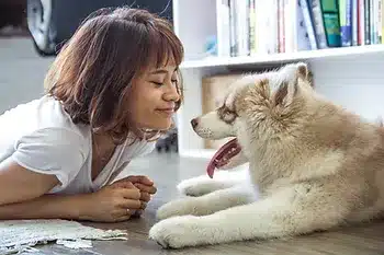How to Calm Down a Hyper Dog and Create a Harmonious Environment