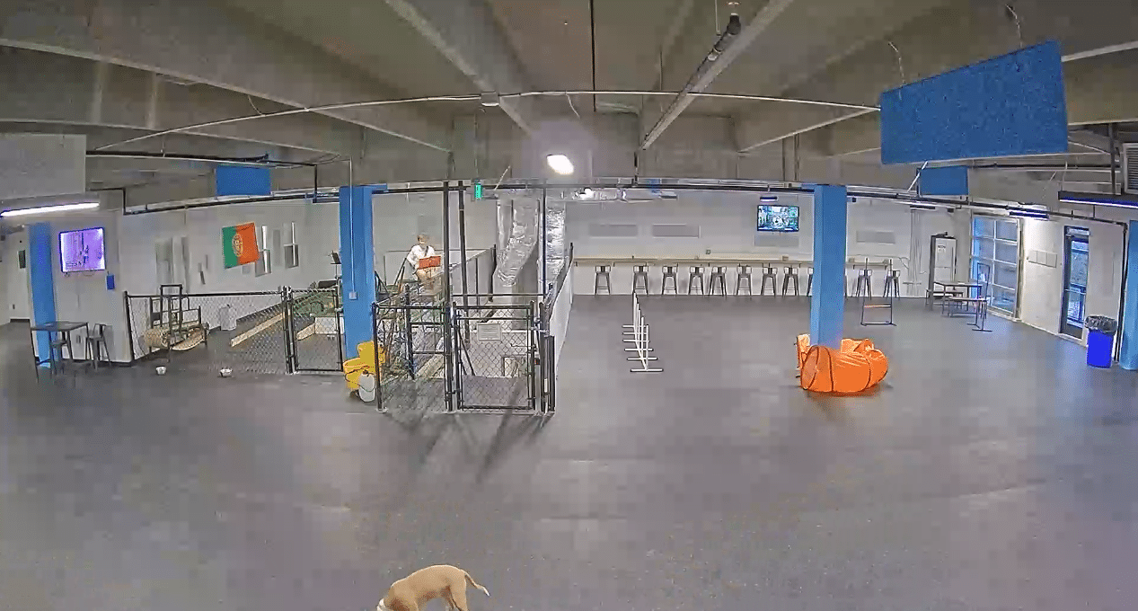 dog parks in Arlington Virginia