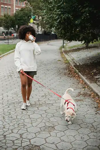 10 Fun Things to Do with Dogs in the DMV