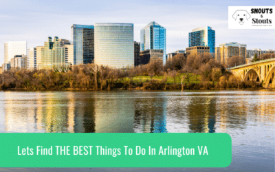 Lets Find THE BEST Things To Do In Arlington VA