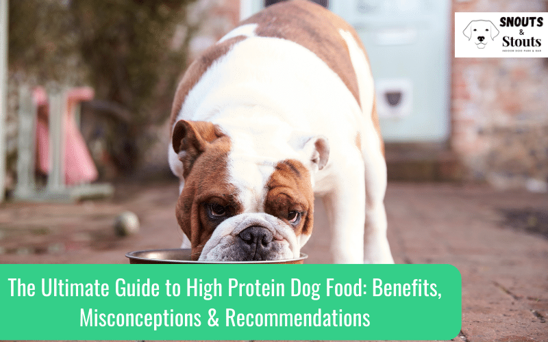 high protein dog food