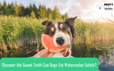 Discover the Sweet Truth Can Dogs Eat Watermelon Safely?