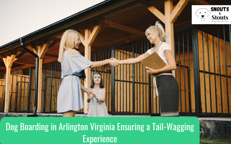 dog boarding in arlington virginia
