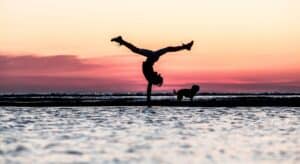 silhouette of man riding skateboard during sunset