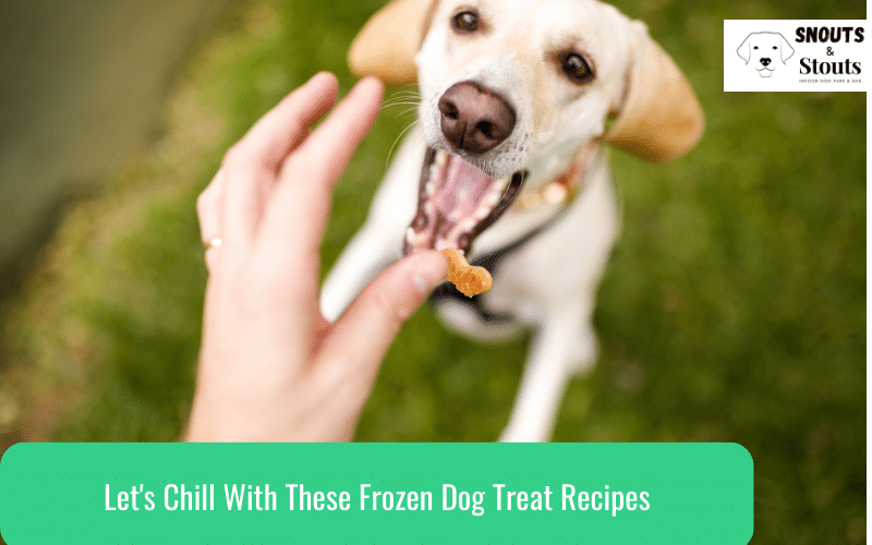Let’s Chill With These Frozen Dog Treat Recipes