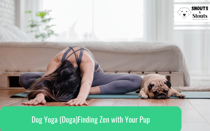 dog yoga