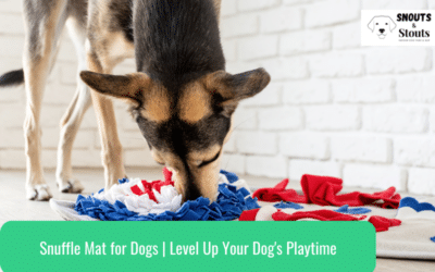 Snuffle Mat for Dogs | Level Up Your Dog’s Playtime And Wellbeing