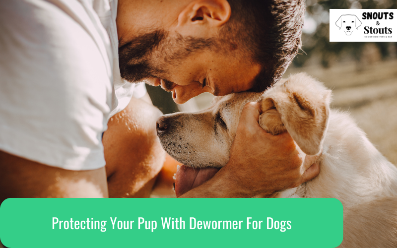 dewormer for dogs