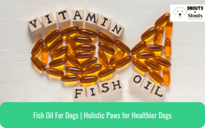 Fish Oil For Dogs | Holistic Paws for Healthier Dogs