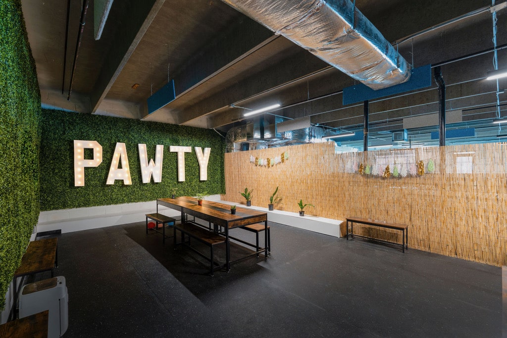 The Pawty Room – 2 Hour Reservation