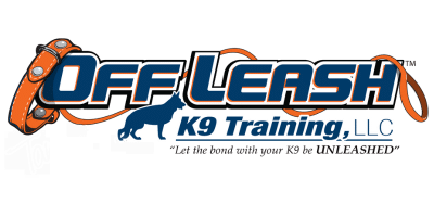 Best Indoor Dog Parks in Northern Virginia – 4 of the Best