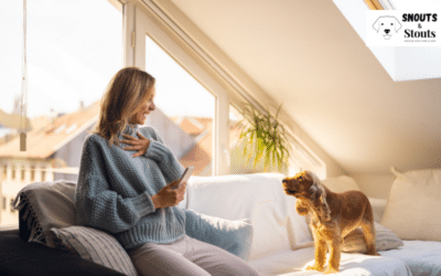 Beyond the Bark Decoding Barking Dogs and How to Navigate It