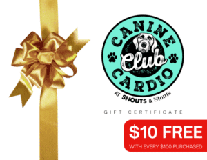 Club Canine Cardio Gift Card