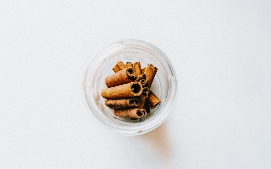 Can Dogs Have Cinnamon? Important Facts Every Dog Owner Should Know