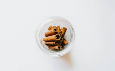 Can Dogs Have Cinnamon? Important Facts Every Dog Owner Should Know