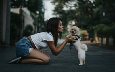 Finding the Perfect Dog Names for Your Furry Friends