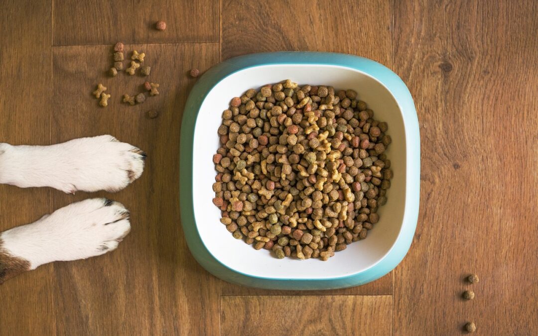 How Much Should I Feed My Dog? A Comprehensive Guide for Pet Owners