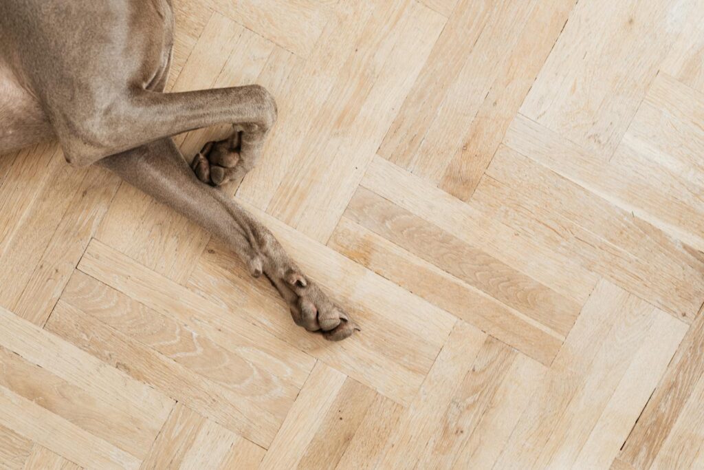 A close-up shot of a dog's paws resting on a parquet wooden floor indoors.