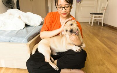 Does My Dog Know I Love Him? Understanding Canine Love Languages