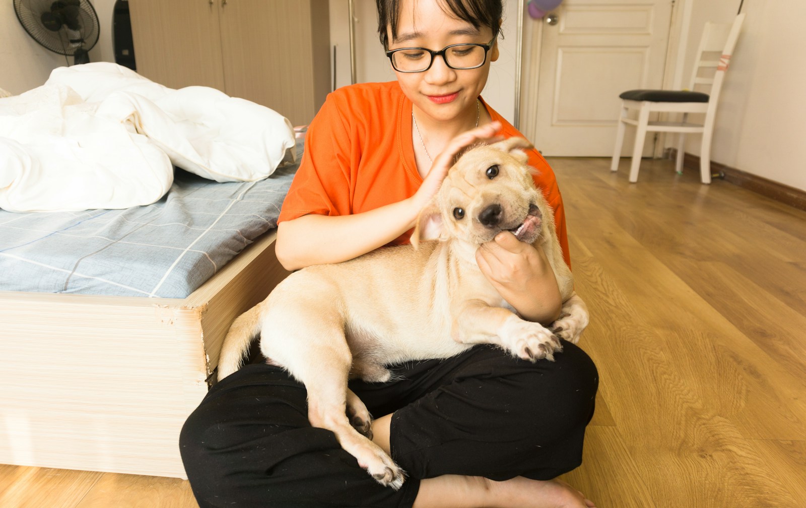 does my dog know i love him?
