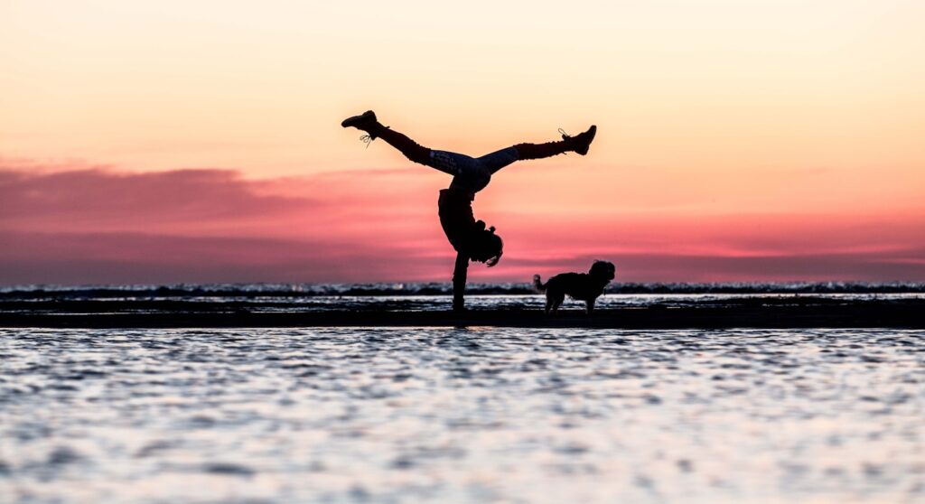 silhouette of man riding skateboard during sunset