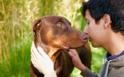 How Do Dogs Show Affection? Heartwarming Ways to Understand