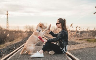 Why Do Dogs Love Humans? Understanding the Science Behind the Bond