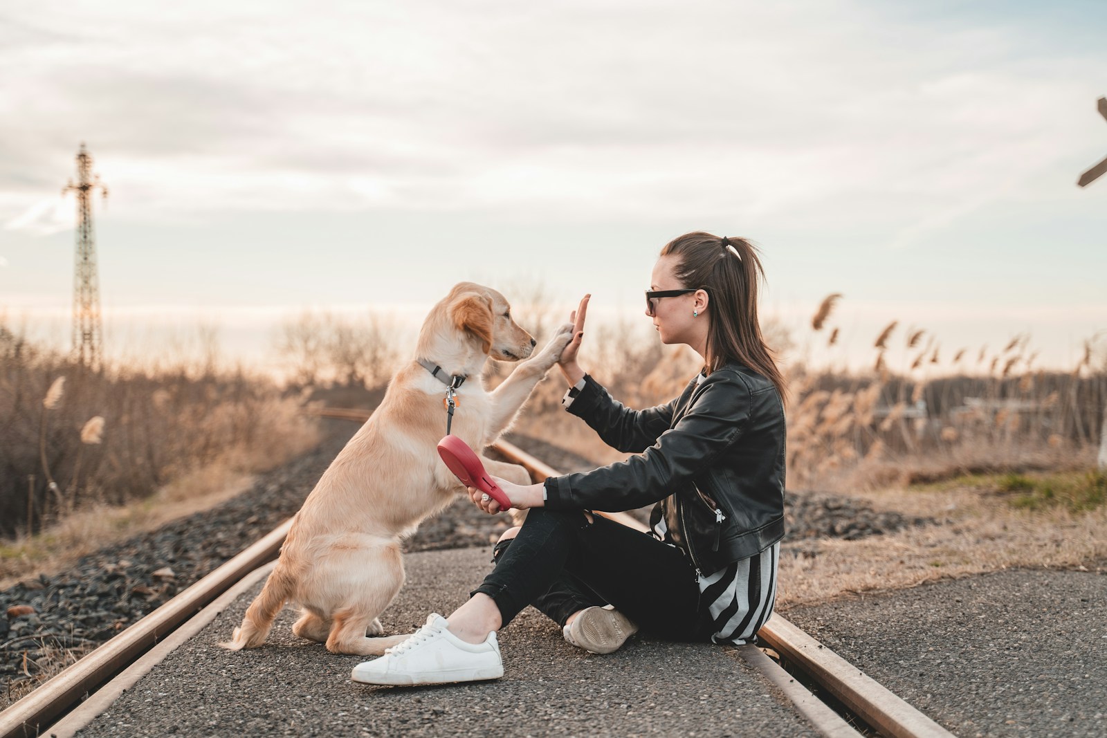 why do dogs love humans