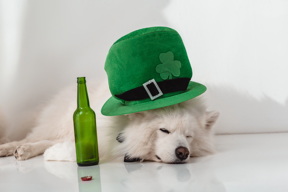 St. Patrick’s Day Bash