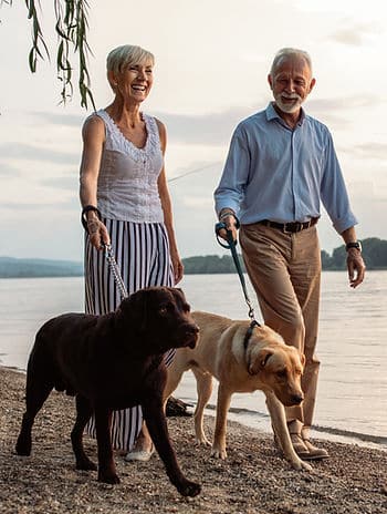 two people walking dogs