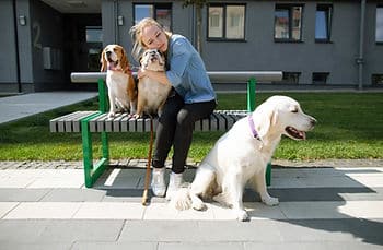 dow owner, 3 dogs on bench