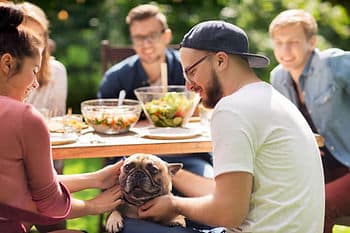dog at table with owners