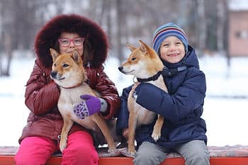 kids in snow with dogs