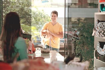 dog and owner, walking into store