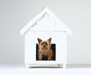 dog house