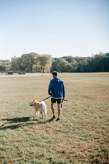 dog on leash, dog park