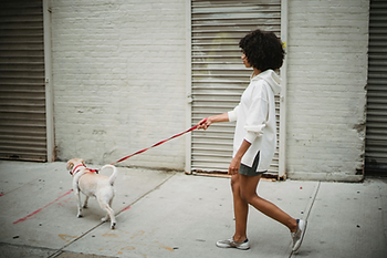 woman walking dog