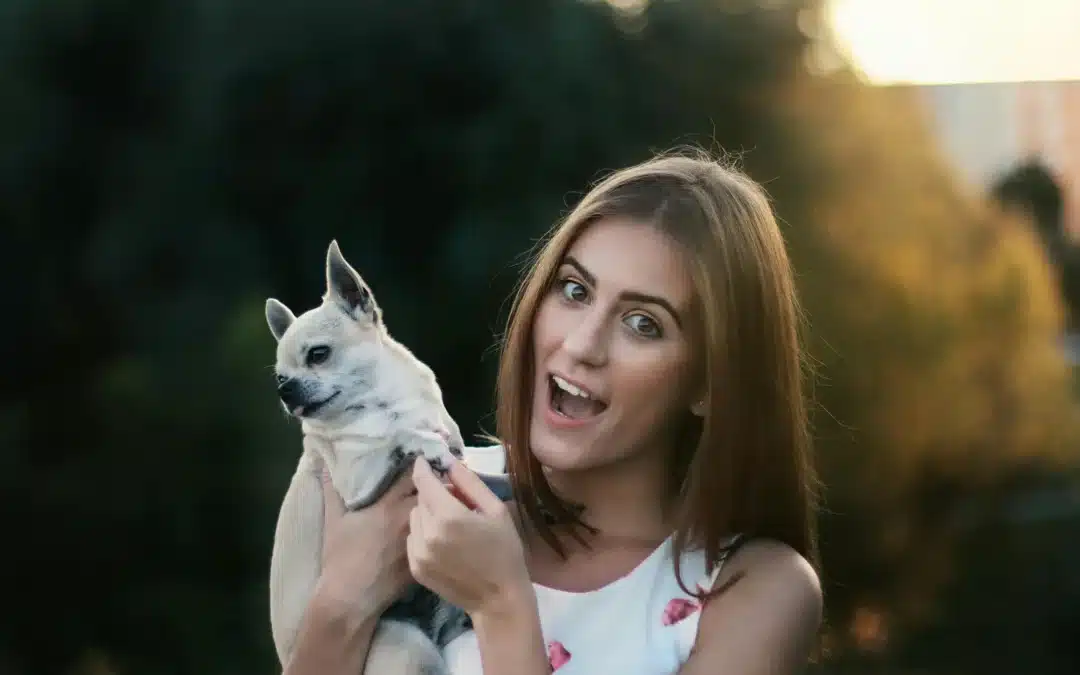 The Only Bar and Indoor Dog Park in Arlington, Virginia: Grab a Drink at Snouts & Stouts