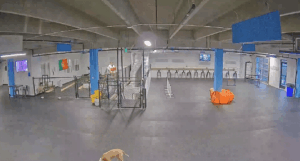 dog parks in Arlington Virginia