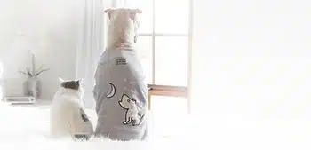 Our Top Tips for Curing Dog Separation Anxiety Quickly