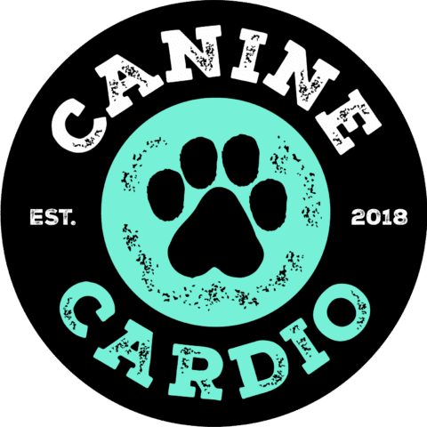 Why Do Dogs Like To Be Pet? Understanding Canine Affection - Canine Cardio