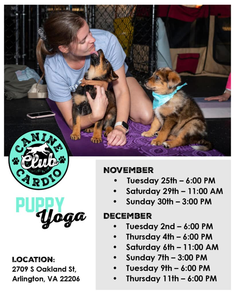 PUPPY YOGA