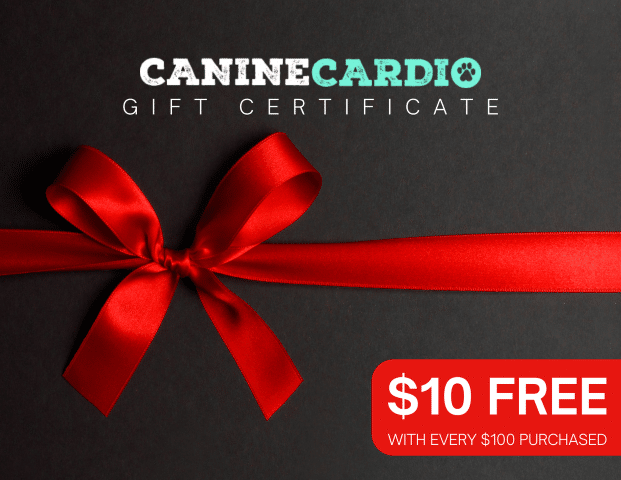Canine Cardio Gift Certificate