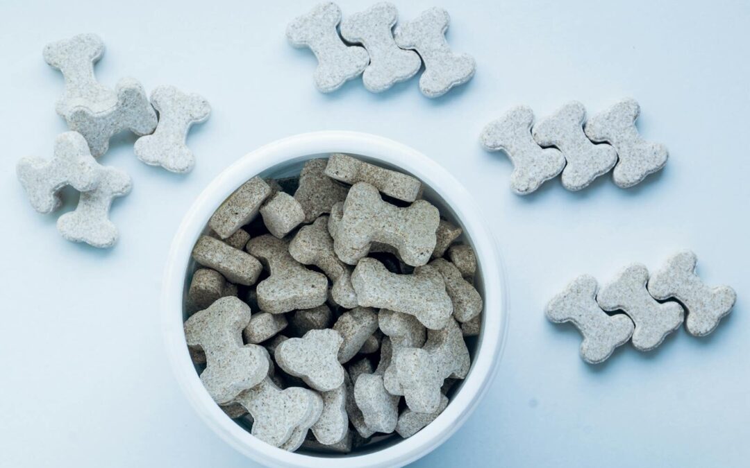 5 Homemade & Healthy Dog Treats Your Pup Will Love!