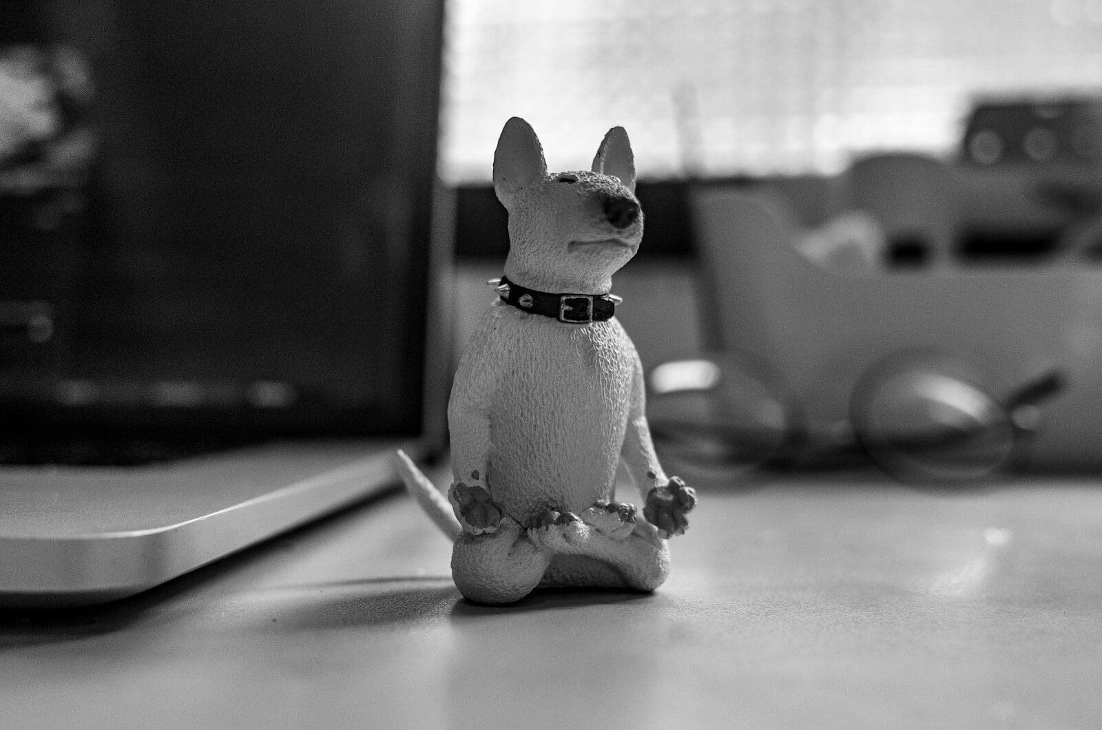 a small bunny rabbit