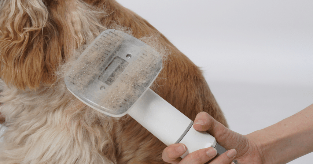dog grooming tools