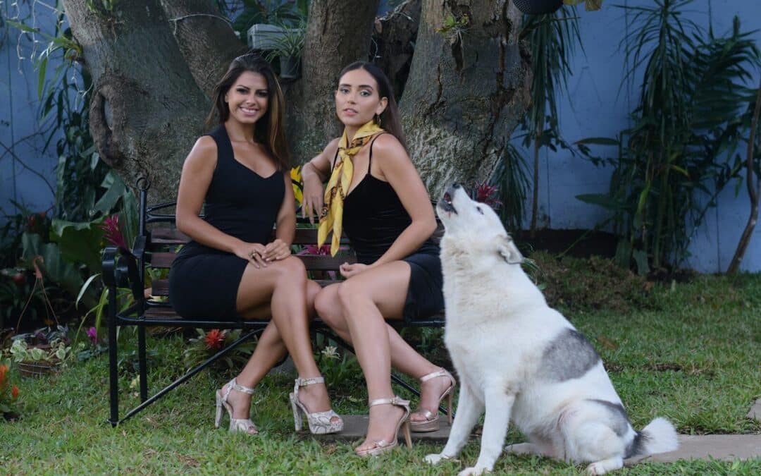 Why Do Dogs Howl? Insights into Your Pet’s Behavior and Emotions