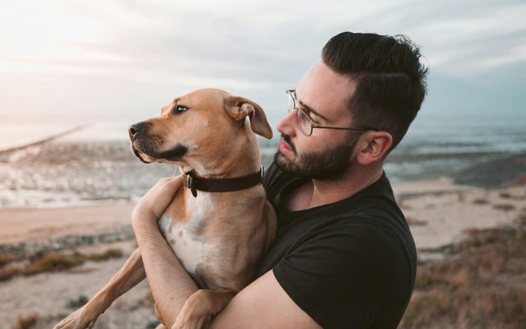 Why Do Dogs Love Humans? Understanding the Science Behind the Bond